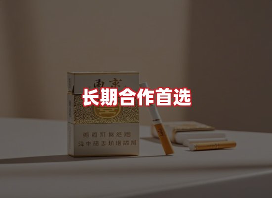 专业团队